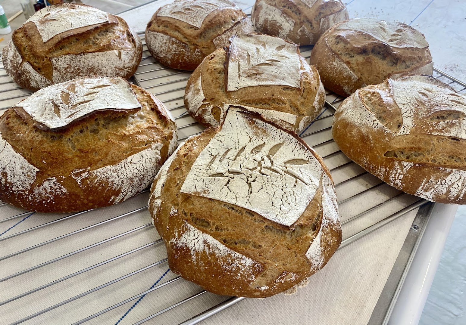 Tumulus Bakery · Photos 1